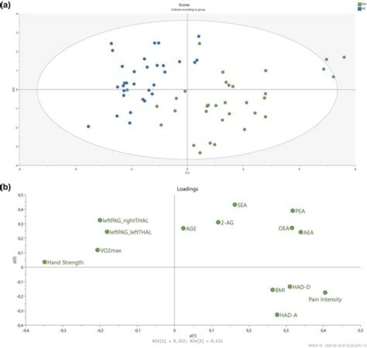 Are positively correlated variables?